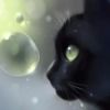 bubblekittykat